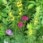 Zittrauerhof - Urlaub Am Bauernhof Gastein *
