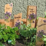 Zittrauerhof - Urlaub Am Bauernhof Gastein Farmház Bad Hofgastein