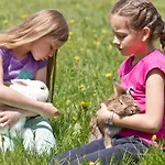 Bauernhof Zittrauerhof - Urlaub Am Bauernhof Gastein Bad Hofgastein