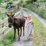Zittrauerhof - Urlaub Am Bauernhof Gastein Vakantieboerderij *