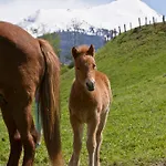 Zittrauerhof - Urlaub Am Bauernhof Gastein Vakantieboerderij *