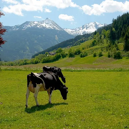 Zittrauerhof - Urlaub Am Bauernhof Gastein مزرعة للإقامة