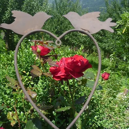 Zittrauerhof - Urlaub Am Bauernhof Gastein * باد هوفغاستين