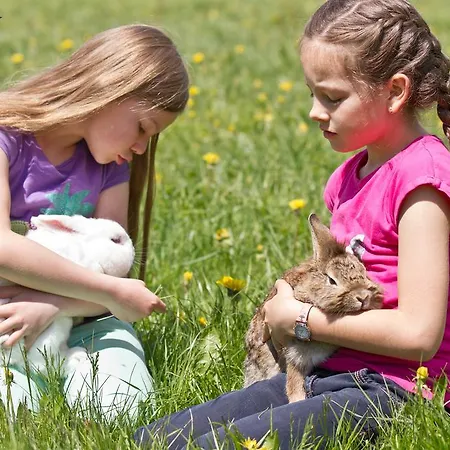 مزرعة للإقامة Zittrauerhof - Urlaub Am Bauernhof Gastein باد هوفغاستين
