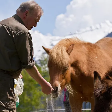 مزرعة للإقامة Zittrauerhof - Urlaub Am Bauernhof Gastein *