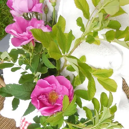 Zittrauerhof - Urlaub Am Bauernhof Gastein