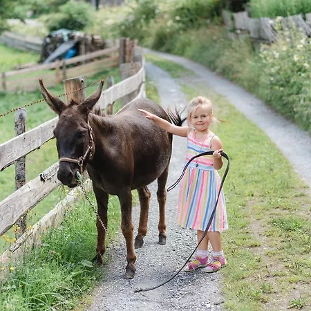 Zittrauerhof - Urlaub Am Bauernhof Gastein مزرعة للإقامة *