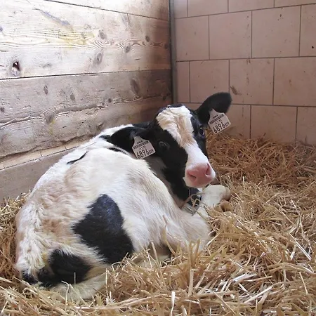 مزرعة للإقامة Zittrauerhof - Urlaub Am Bauernhof Gastein *