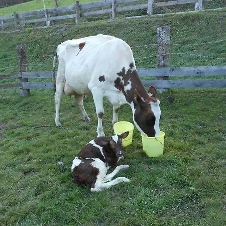 Zittrauerhof - Urlaub Am Bauernhof Gastein باد هوفغاستين